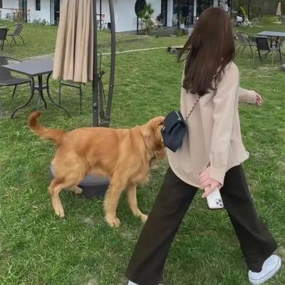 莫茜