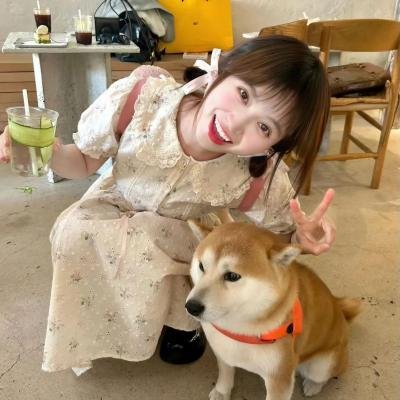 和平使者第二季